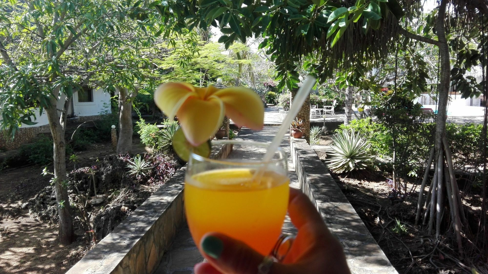 Flamingo Villas Resort Malindi Exterior foto